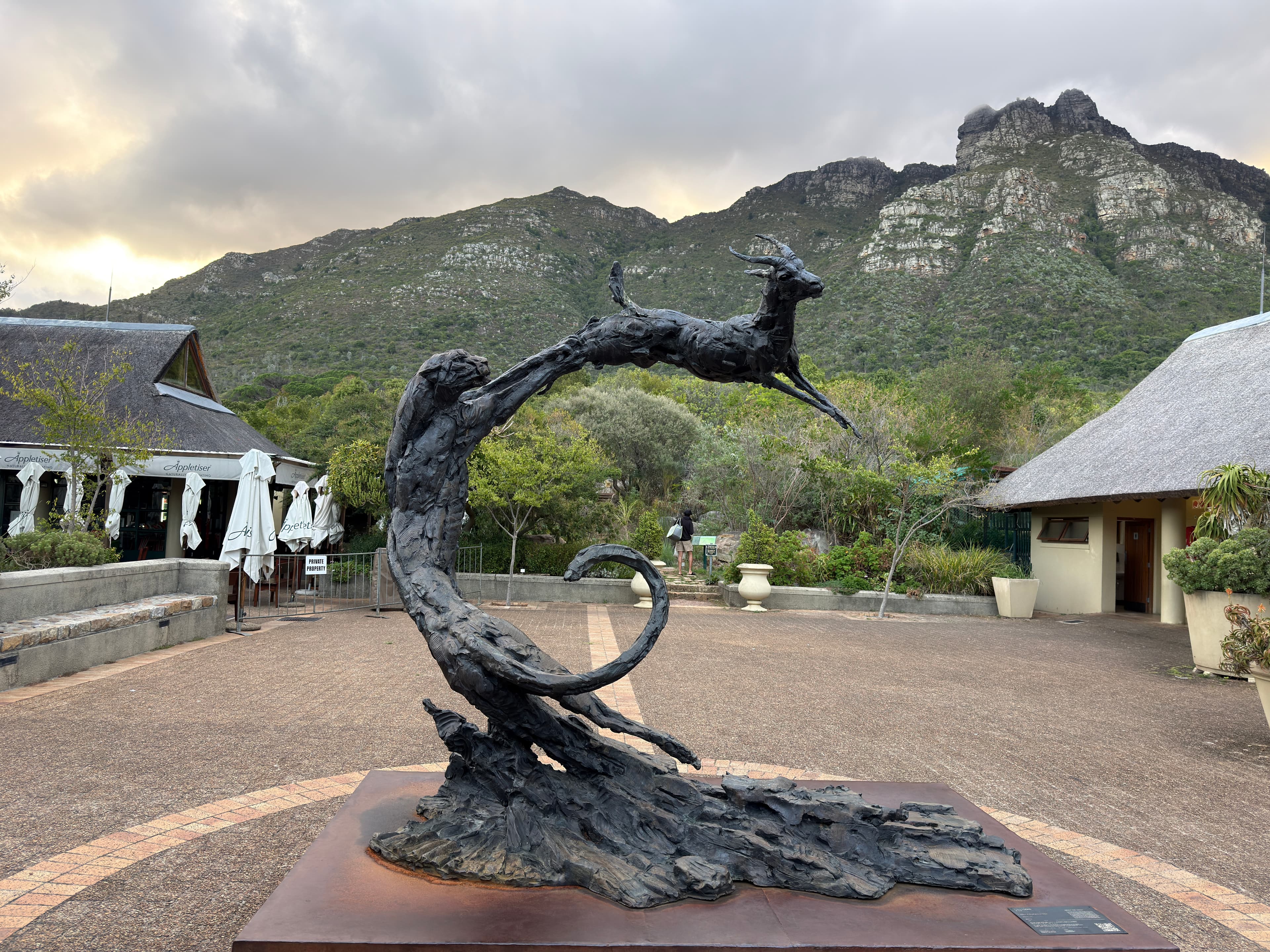 Kirstenbosch Gardens and Nature Walk