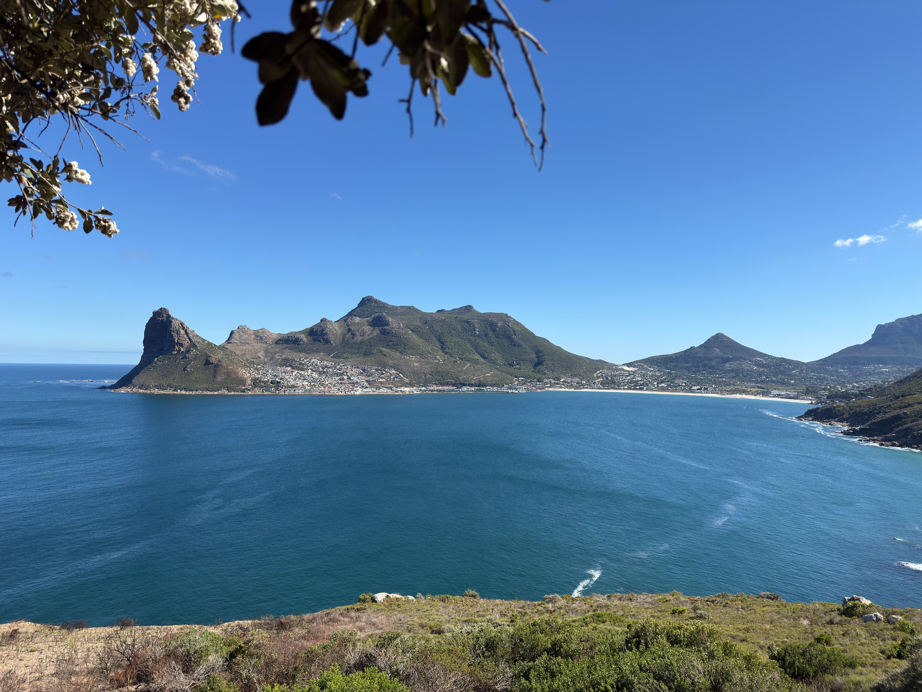 Chapman's Peak Drive Scenic Coastal Road Guide
