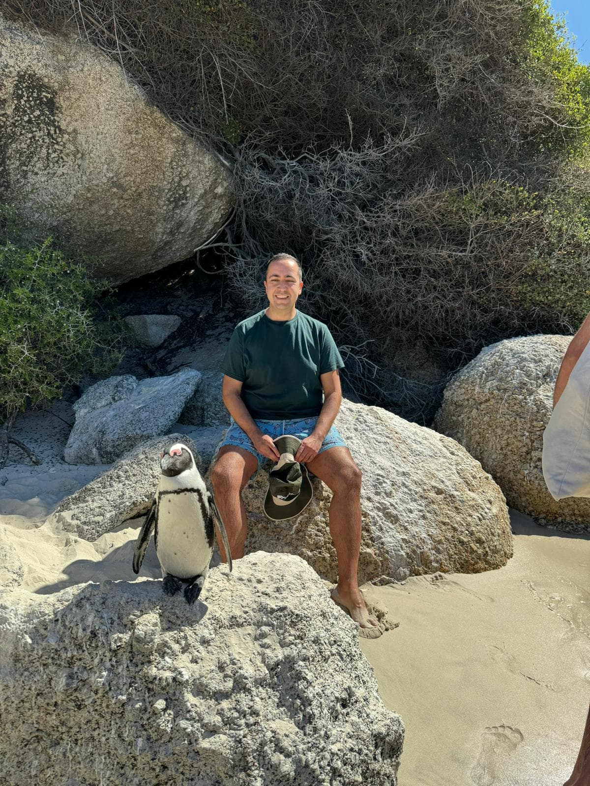 Emre P. travel photo