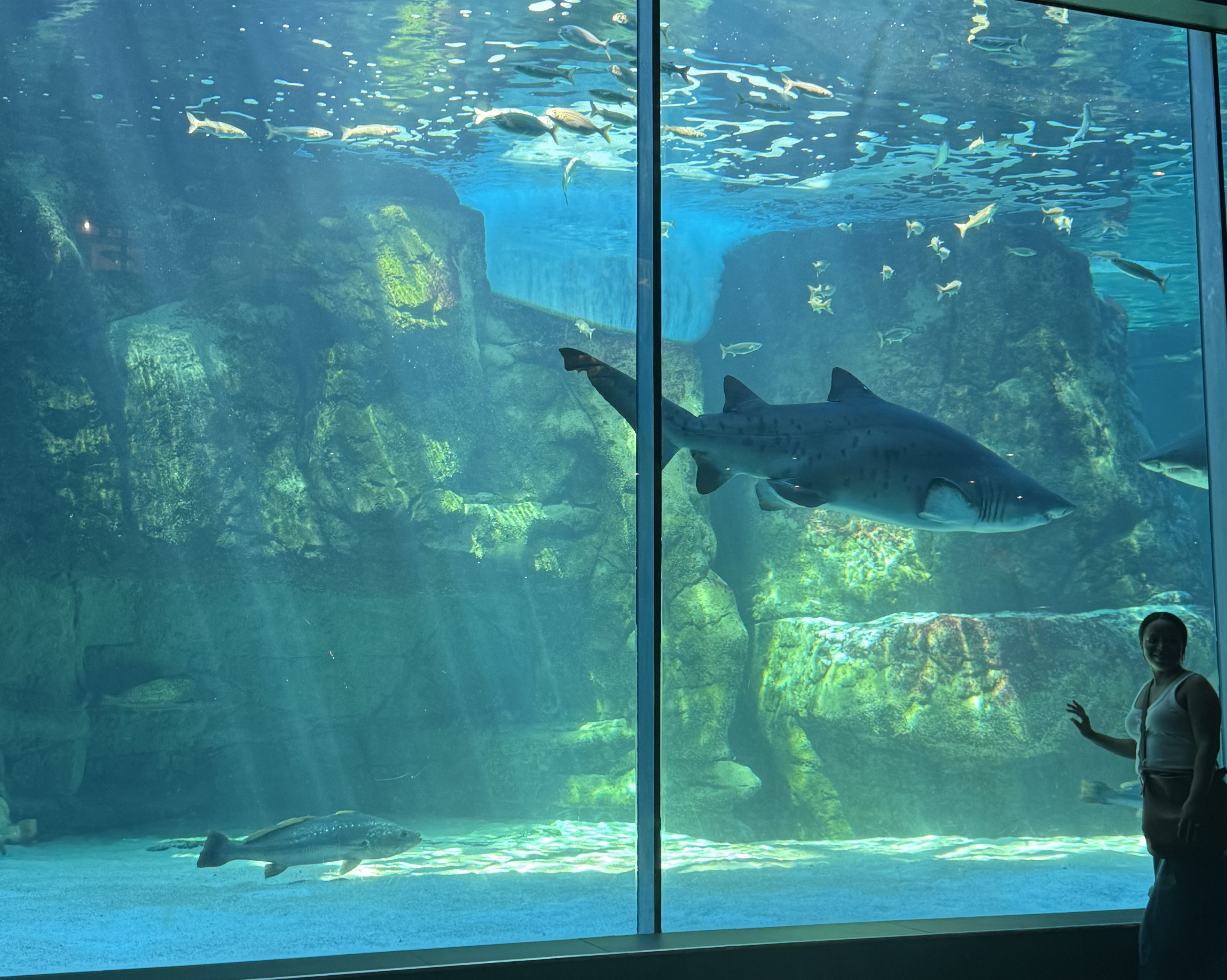 General view of Two Oceans Aquarium